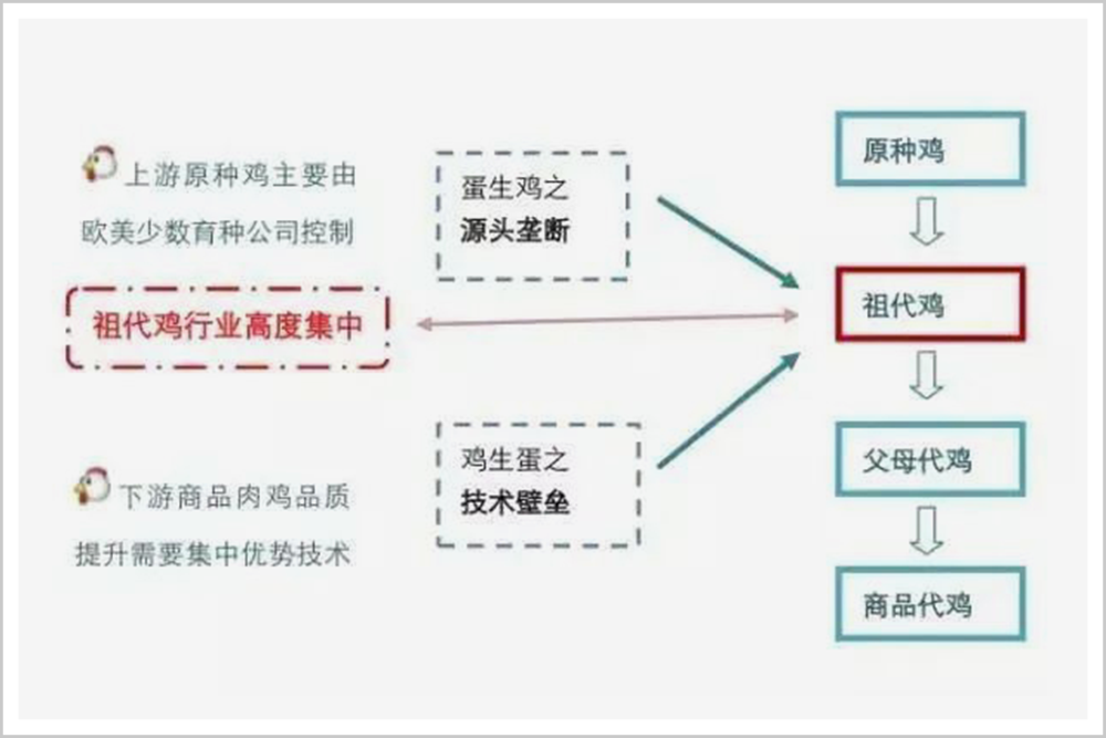 面对卡脖子威胁,他向美国人说:十分钟内离开我的公司