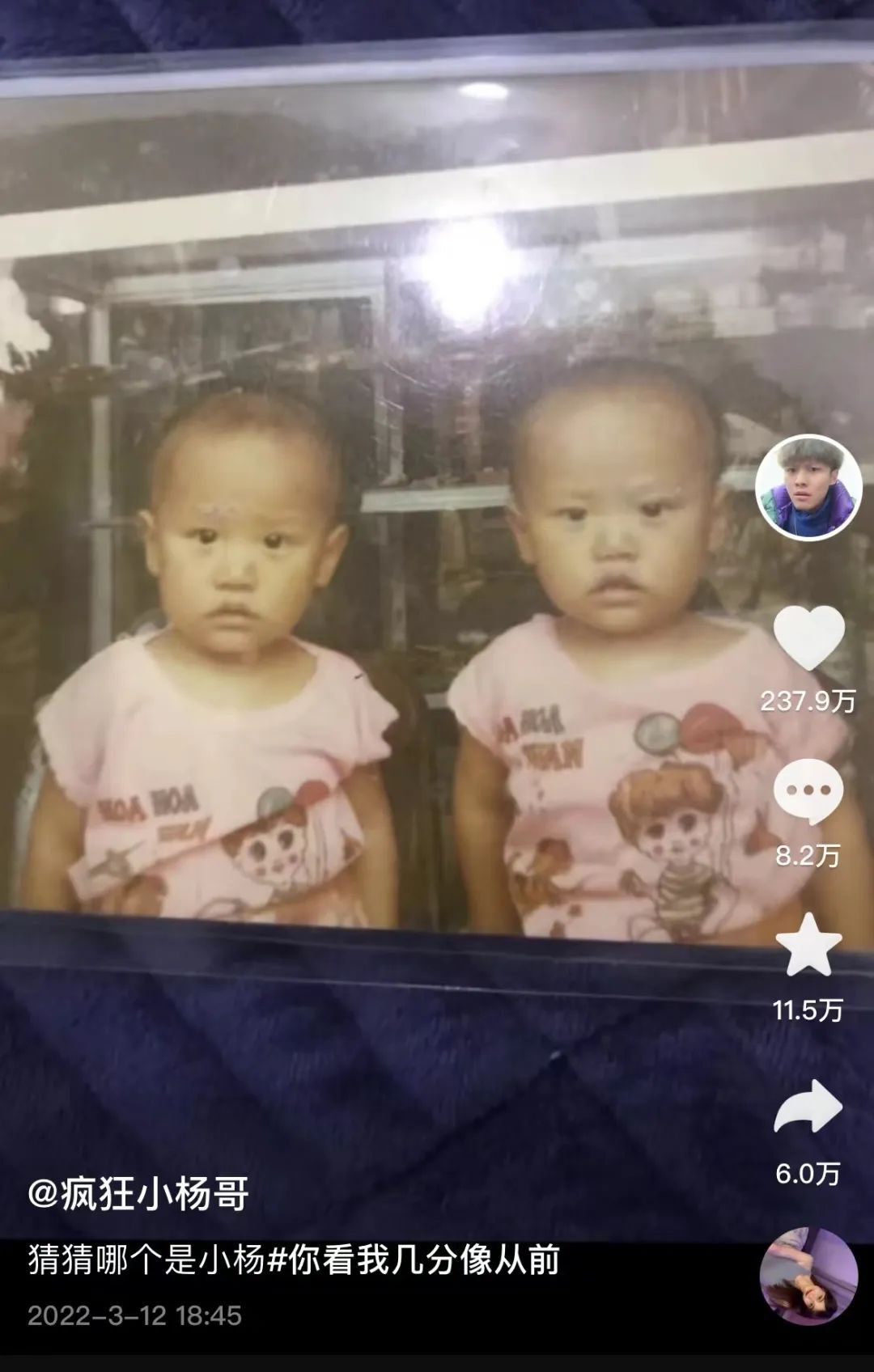 疯狂小杨哥的疯狂帝国